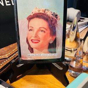 Ann Taintor hilarious postcard in a magnetic frame for fridge New